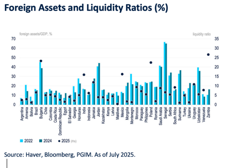 foreign-assets-and-liquidity-ratios foreign-assets-and-liquidity-ratios